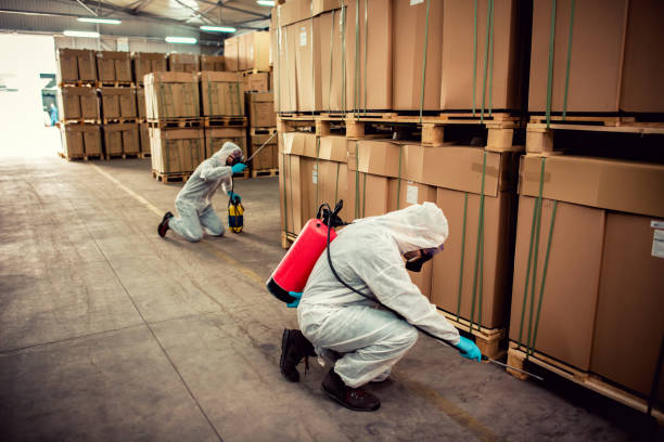 Best Flea Control Services  in Port Jefferson, NY