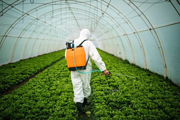 Pest Prevention Services in Port Jefferson, NY