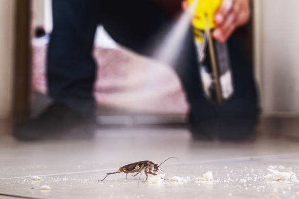 Best Pest Prevention Services  in Port Jefferson, NY