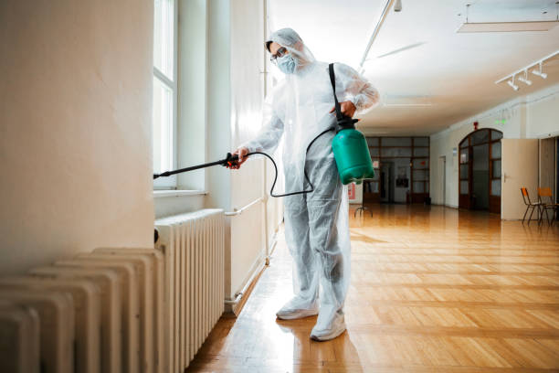 Best Local Pest Control Services  in Port Jefferson, NY